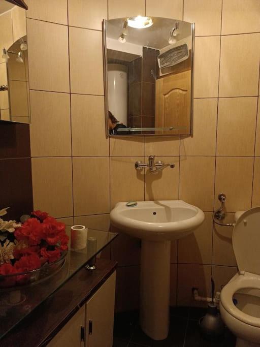 Vranje City Center, Penthouse Delux Apartment Екстериор снимка